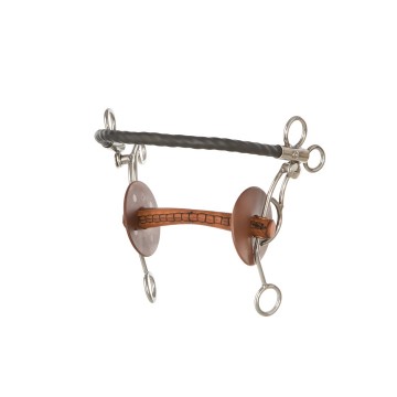 10229tandemus mit lederstange