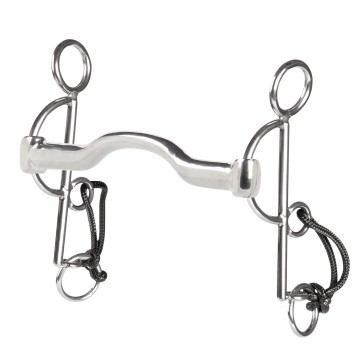 10381appelhamautozbiron