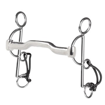 10382appelhamautozbflachiron