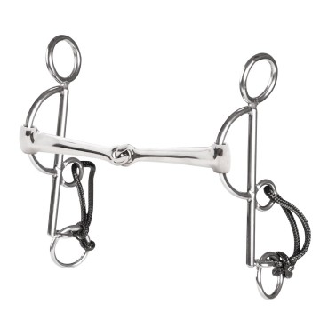 10383appelhamautoeinfach gebrocheniron