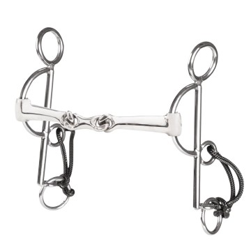 10384appelhamautodoppeltgebrocheniron