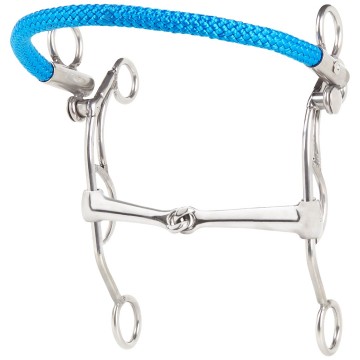 10389tandemeinfachgebrocheniron