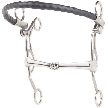 10393tandemuseinfachgebrocheniron