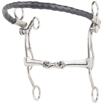 10394tandemusdoppeltgebrocheniron