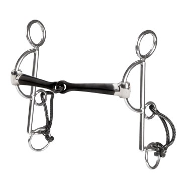 10453appelhamautoeinfachgebrochenblack