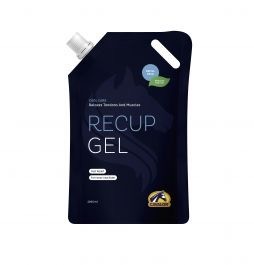 recup gel 2000 mL