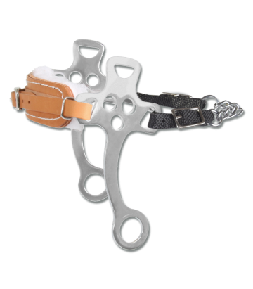 Hackamore Waldhausen