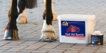 Cavalorhoofaidtester