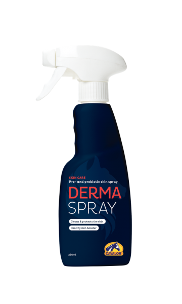 Derma spray 250 mL