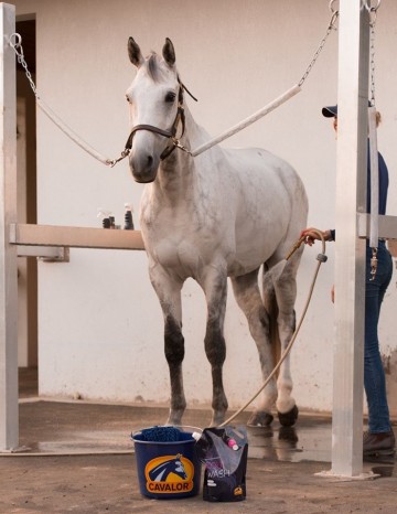 Equiwash poetsplaats