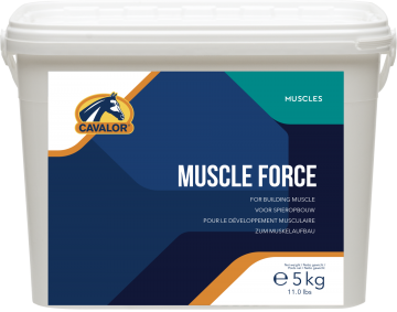 Muscle force   5kg