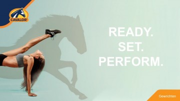 Presentatie lot cavalor gewrichten 200331