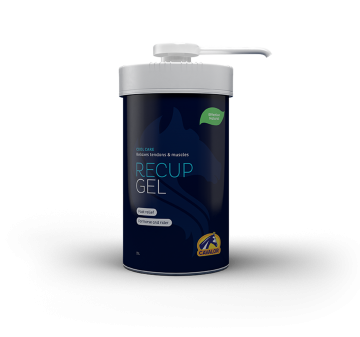Recup gel   2l pomp